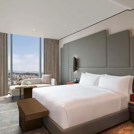ホテル Hilton Kathmandu
